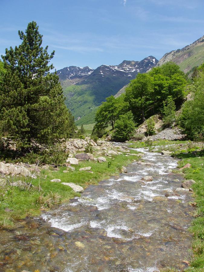 Gite D'Etape Ascou La Forge Esterno foto